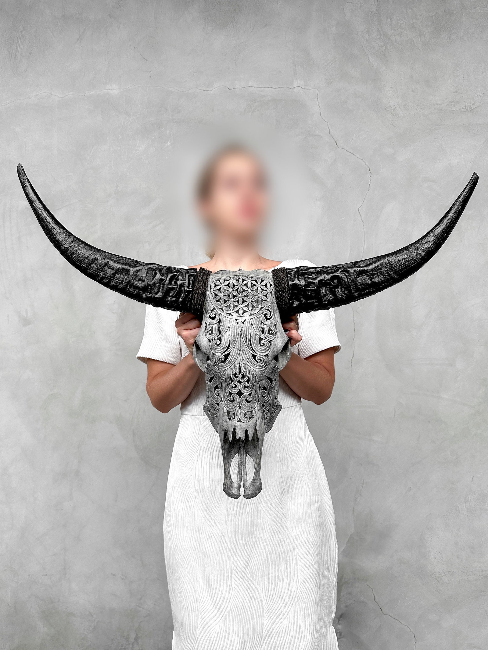 Grey buffalo skull - Flower of life motif: Title: Grey buffalo skull - Flower of life motif Maker:Unknown Origin: Indonesia Date/Period:2025 Materials:Bubalus Bubalis, bone, horn Dimensions:Height: 53 cm / 20.8 inches. Length: 61 cm / 24 inche