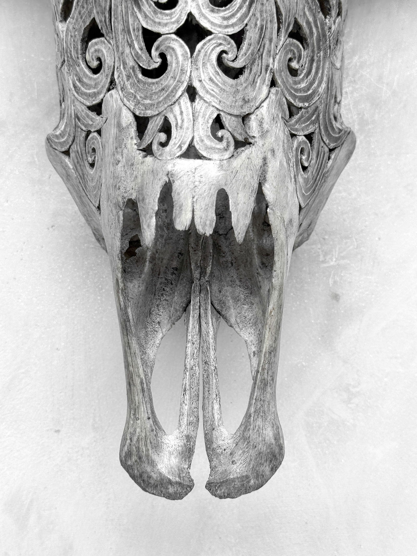 Grey buffalo skull - Flower of life motif - 4