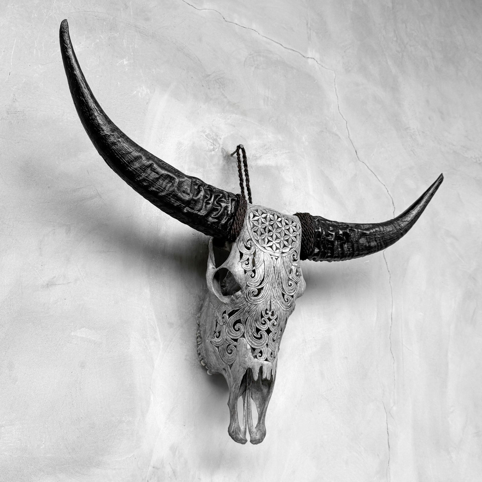 Grey buffalo skull - Flower of life motif - 5