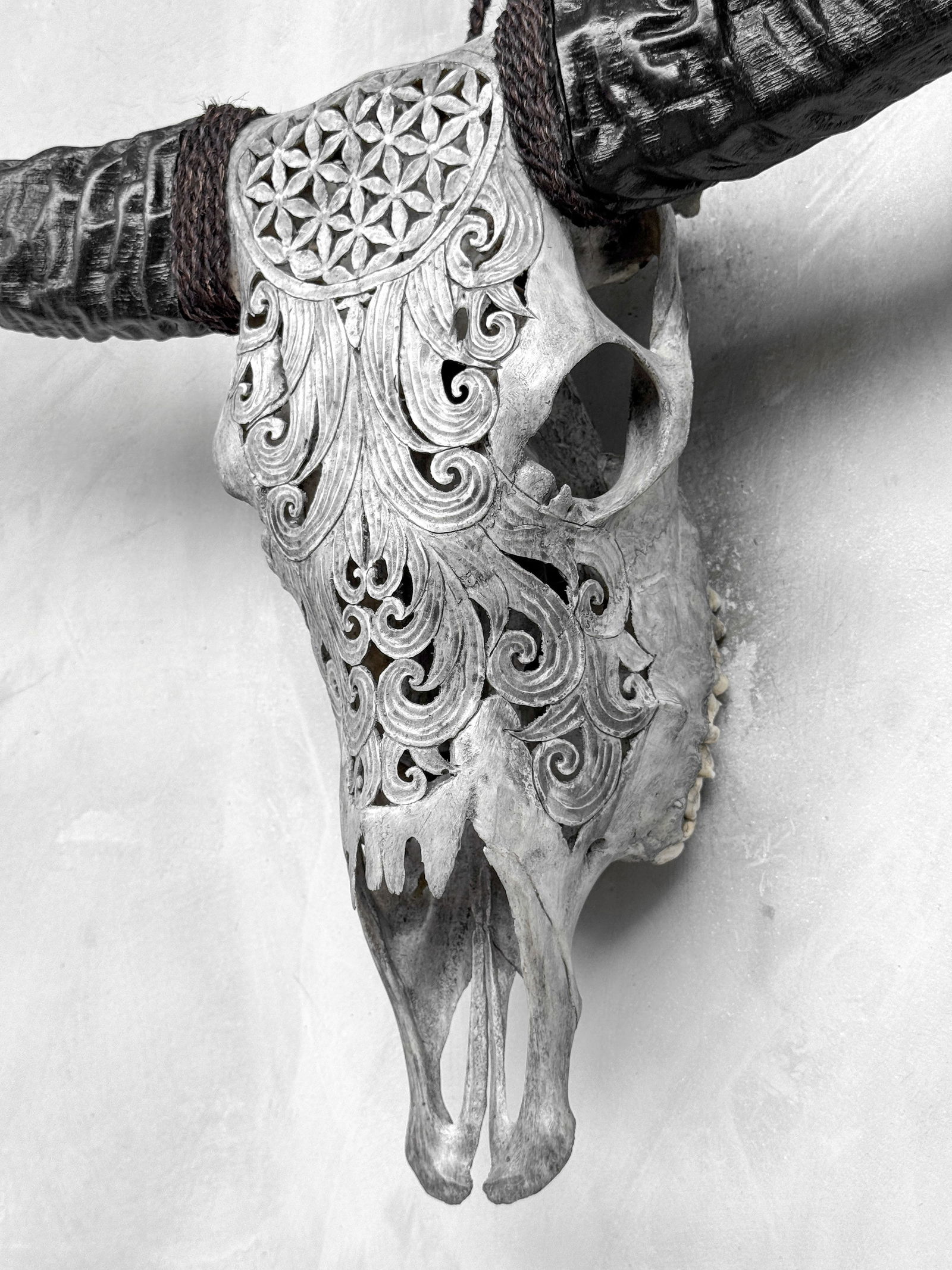 Grey buffalo skull - Flower of life motif - 8