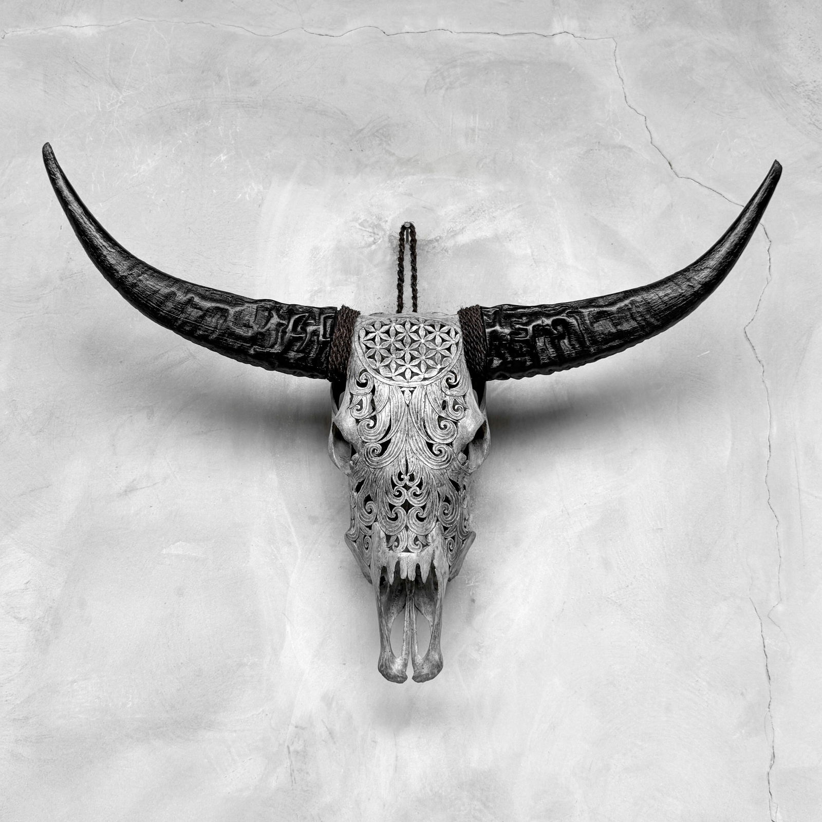 Grey buffalo skull - Flower of life motif - 9
