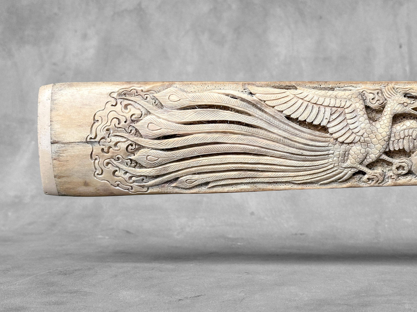 Impressive engraved swordfish rostrum - Dragon Phoenix motif - 5