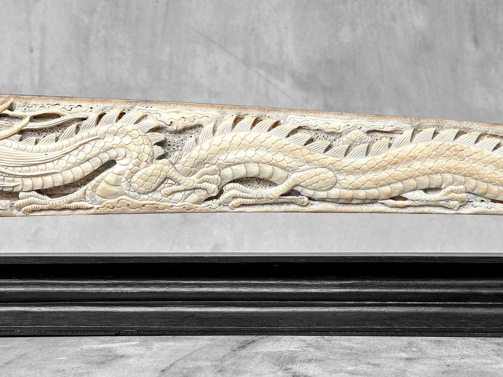 Impressive engraved swordfish rostrum - Dragon Phoenix motif - 7
