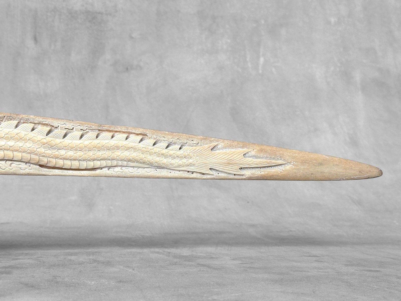 Impressive engraved swordfish rostrum - Dragon Phoenix motif - 9