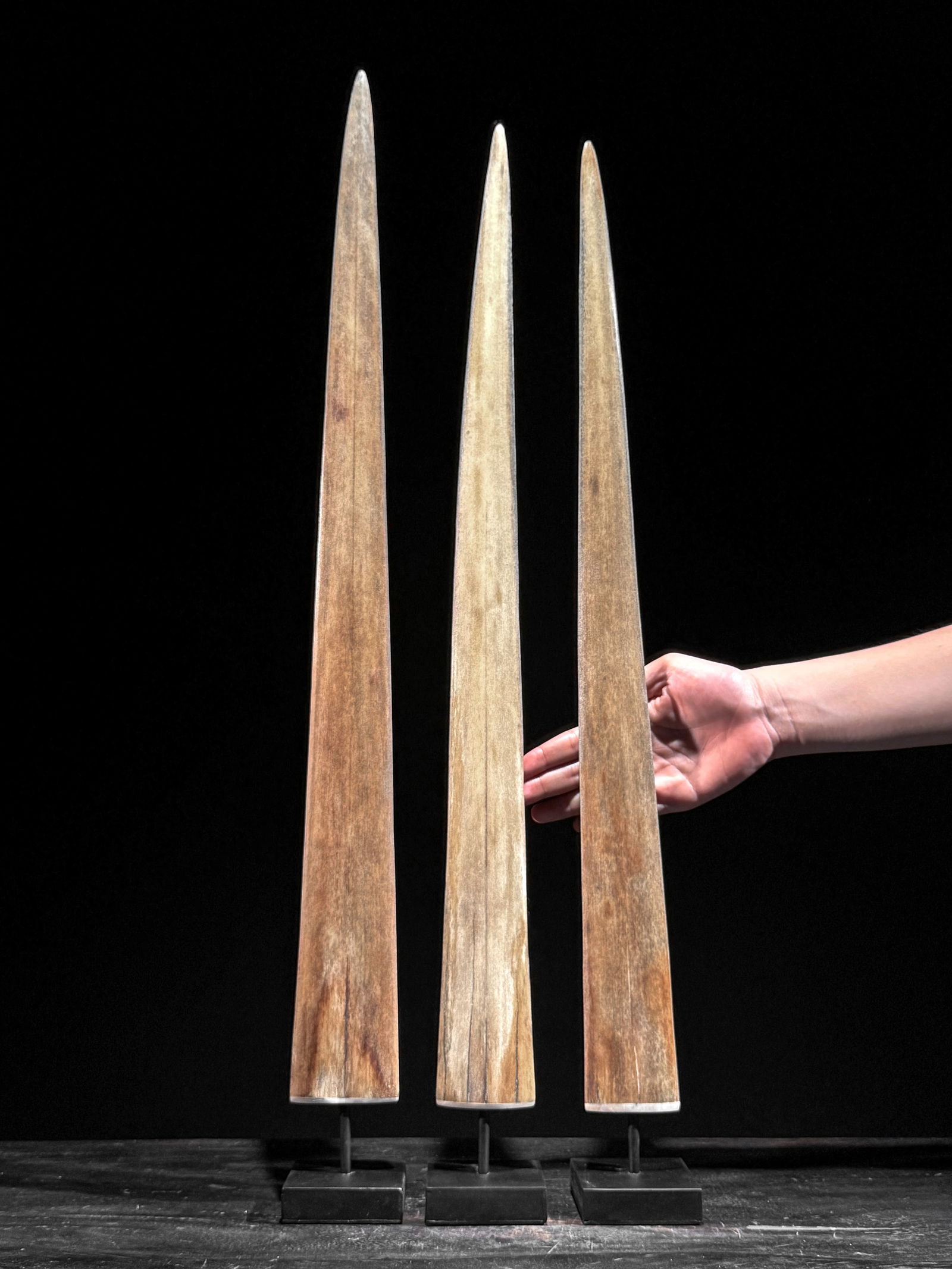 Swordfish tusk trio with custom stands (1 of 10)