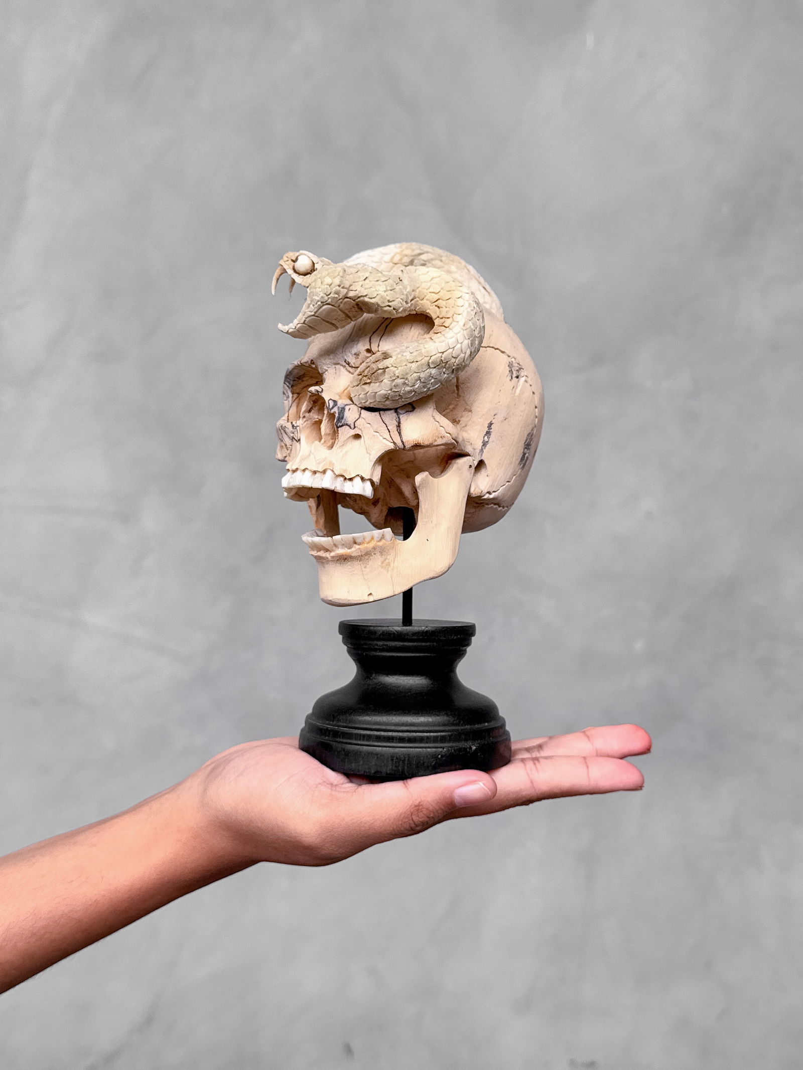 Stunning Human Skull With A Carved Snake (1 of 10)