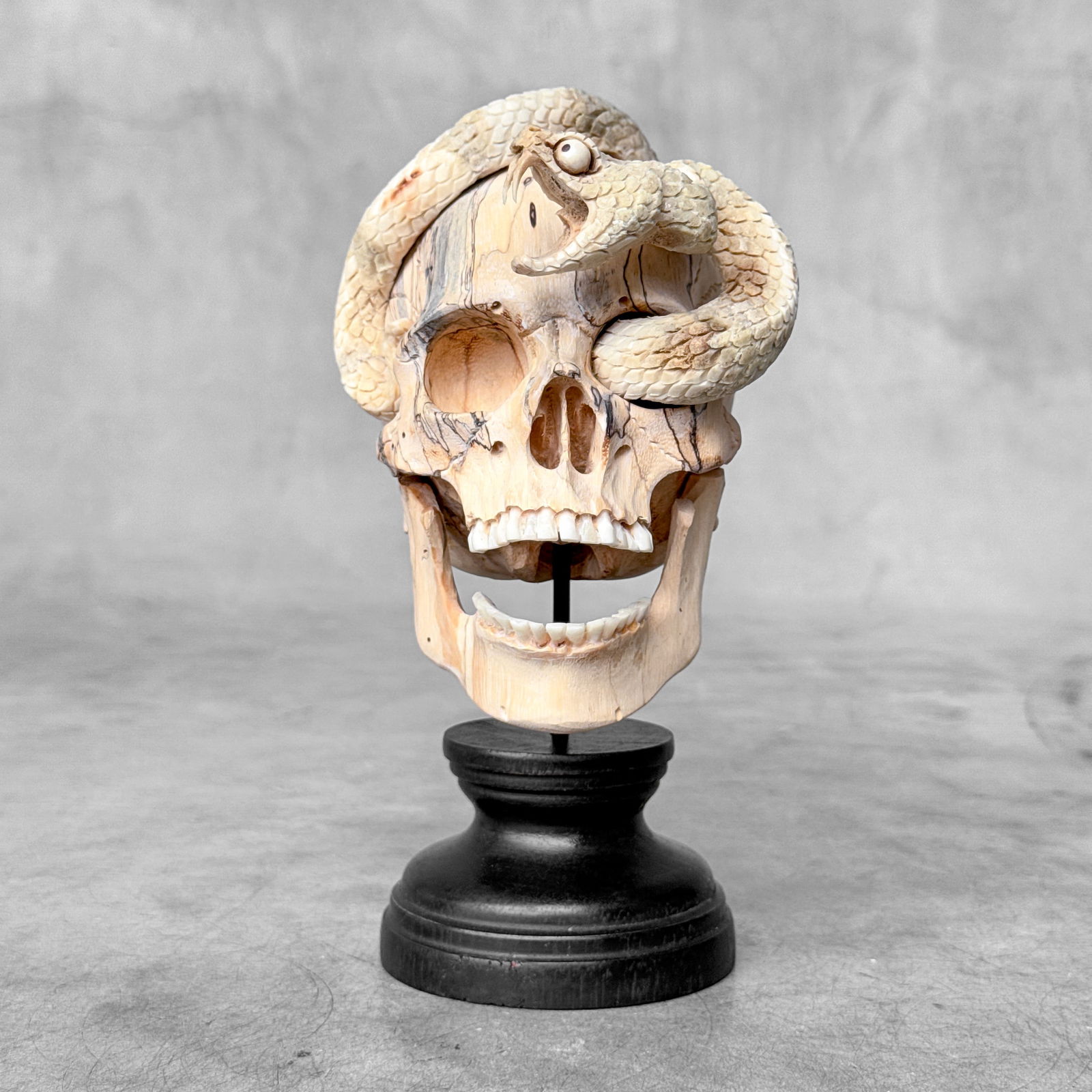 Stunning Human Skull With A Carved Snake - 4