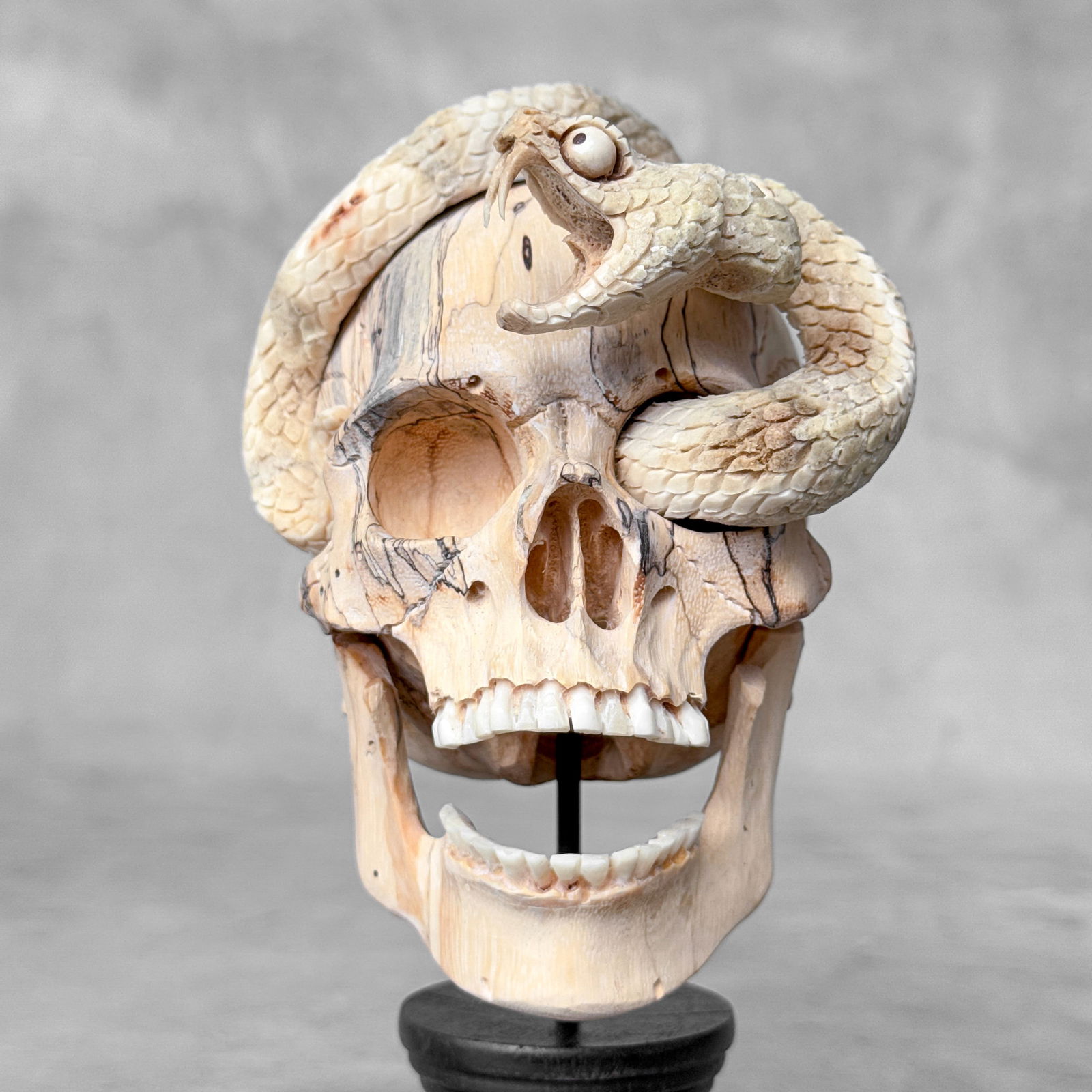 Stunning Human Skull With A Carved Snake - 5