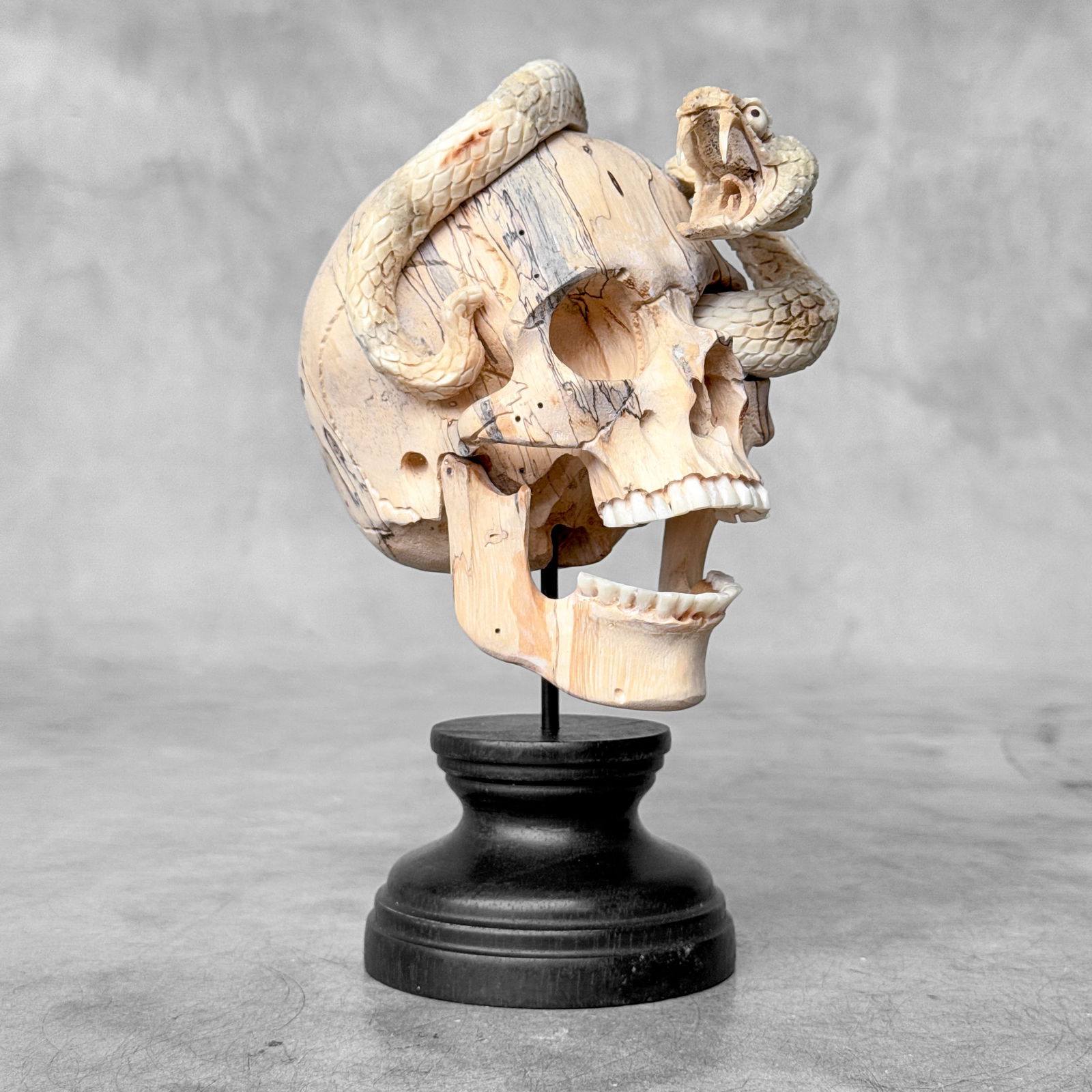 Stunning Human Skull With A Carved Snake - 6
