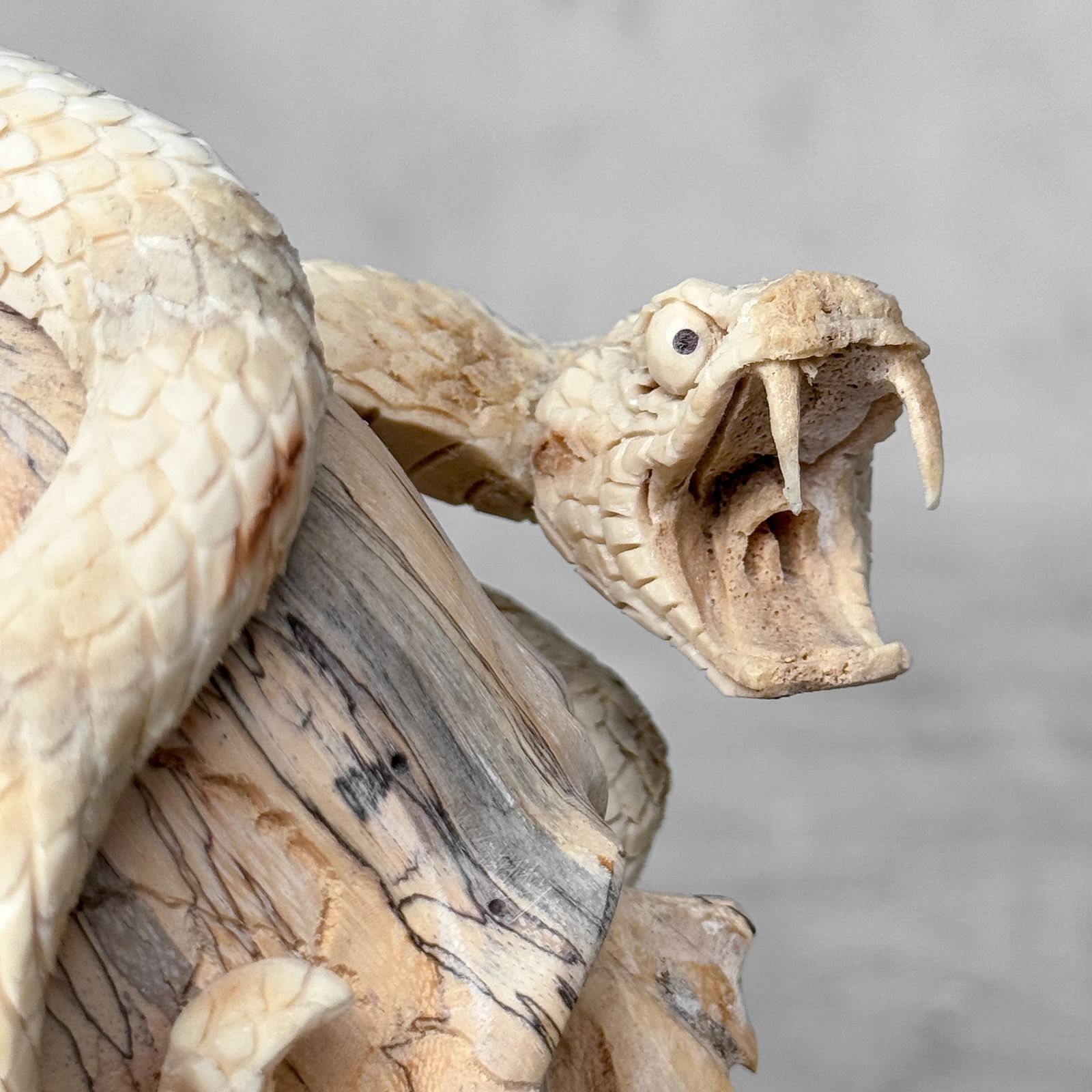 Stunning Human Skull With A Carved Snake - 7