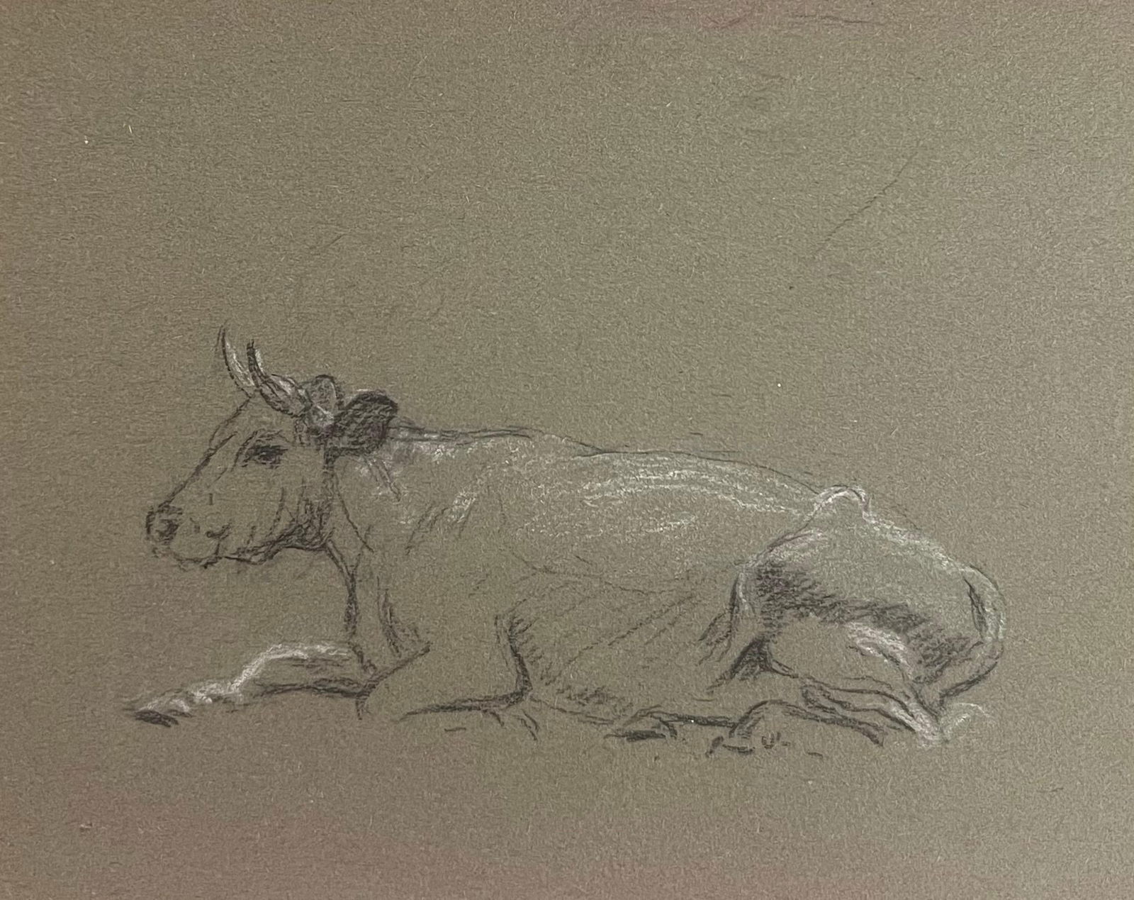 John Rabone Harvey; British Chalk Pencil Sketch of Cow Resting On The Ground, 1966 (1 of 4)