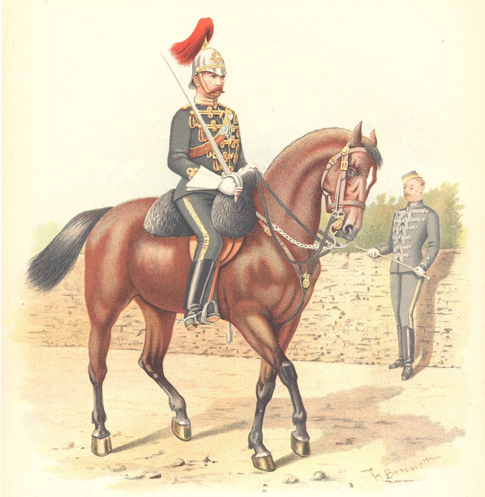 CANADIAN MILITIA UNIFORMS. 6th Cavalry Regiment (Hussars, Canada) 1890 print (1 of 1)