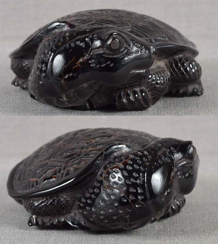 19c BLACK CORAL netsuke TURTLE by YOSHI - 3