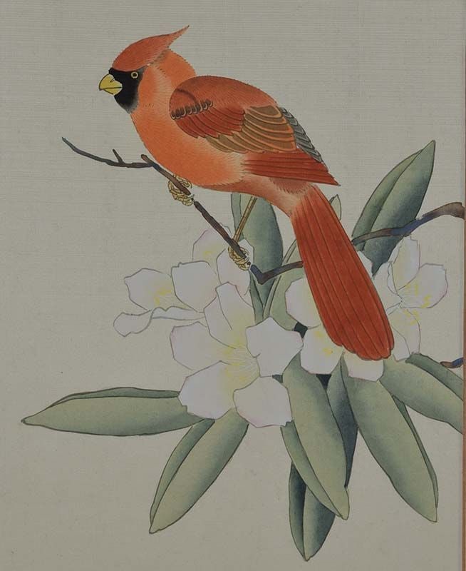19c Chinese painting INK on SILK bird NORTHERN CARDINAL (1 of 6)