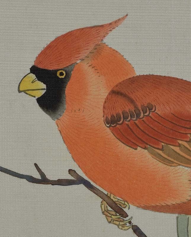 19c Chinese painting INK on SILK bird NORTHERN CARDINAL - 3