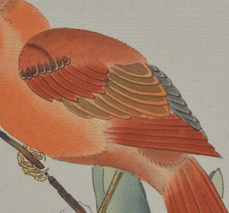 19c Chinese painting INK on SILK bird NORTHERN CARDINAL - 4