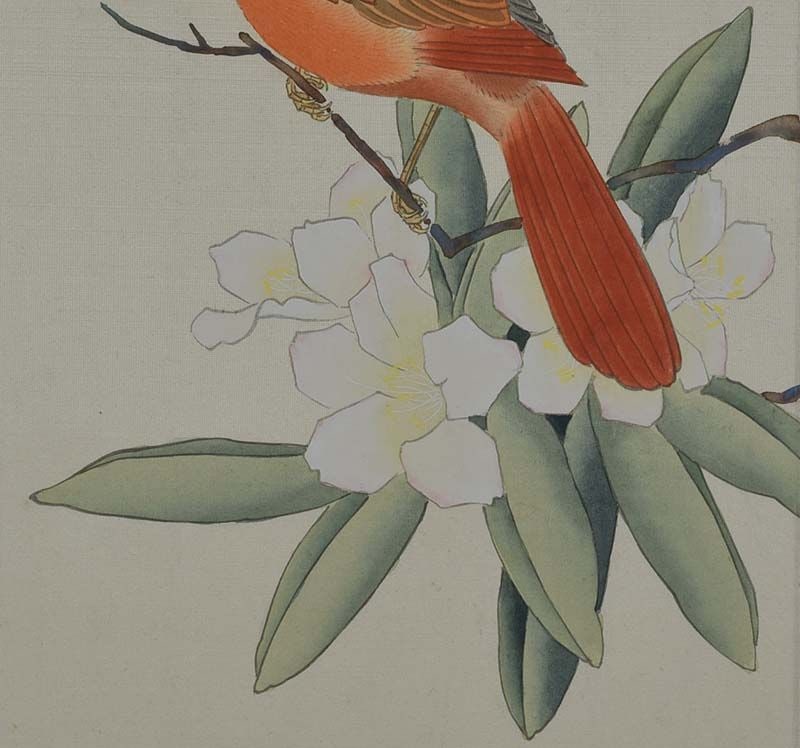19c Chinese painting INK on SILK bird NORTHERN CARDINAL - 5