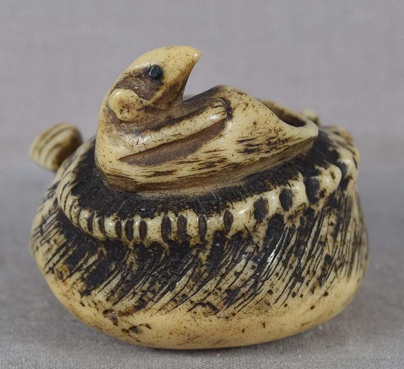18 / 19c staghorn netsuke RAT on ABALONE - 2