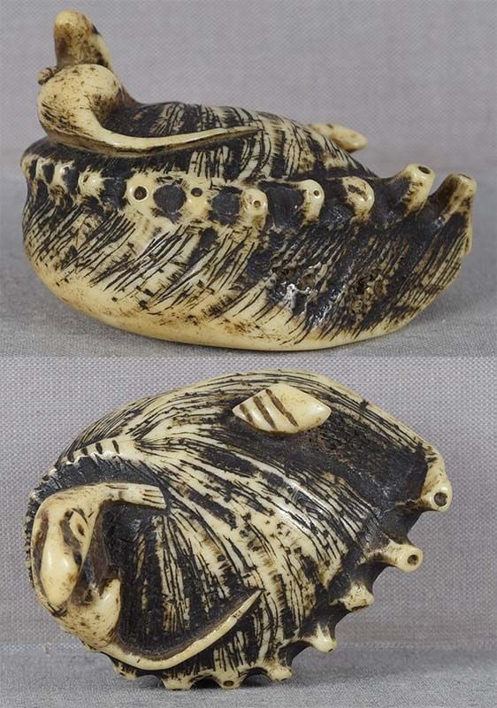 18 / 19c staghorn netsuke RAT on ABALONE - 3