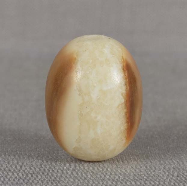 19c OJIME netsuke slide FOSSIL WALRUS (1 of 4)