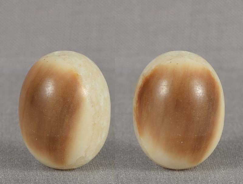 19c OJIME netsuke slide FOSSIL WALRUS - 2