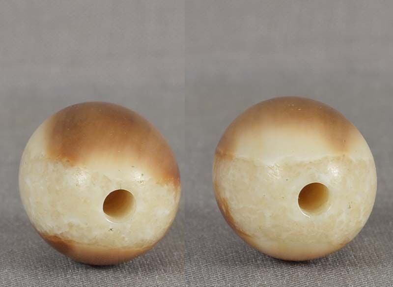 19c OJIME netsuke slide FOSSIL WALRUS - 4