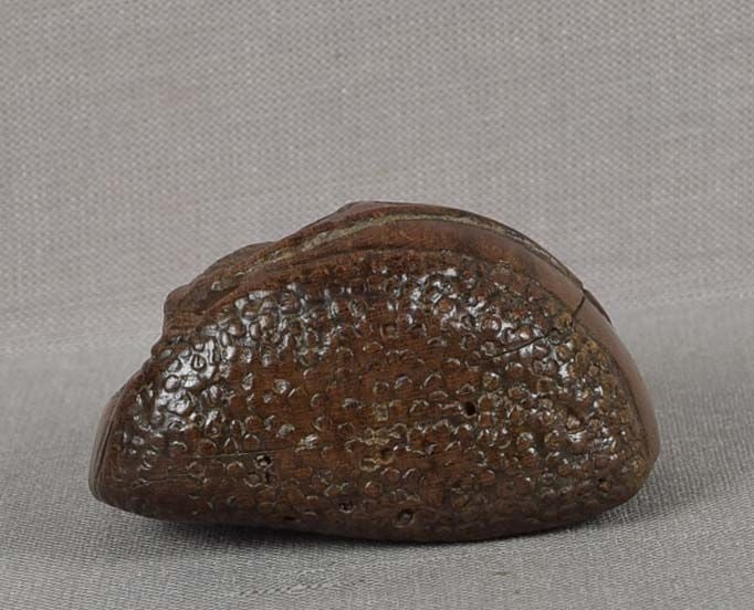 Late Meiji netsuke RAT in chestnut - 3