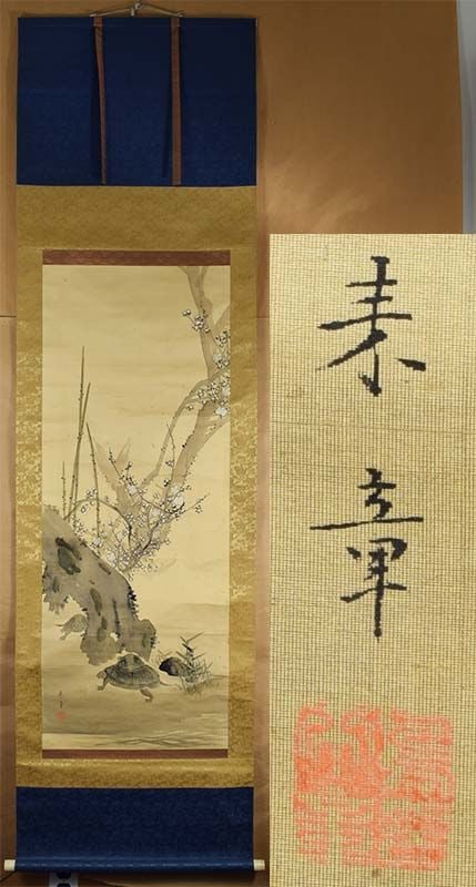 19c Japanese scroll painting TURTLES & prunus after Nakajima Raisho: Late 19th to early 20th century Japanese scroll painting with ink and colors of several turtles by a flowering gnarled prunus tree, painted after Nakajima Raisho (1796-1871). Turtles are believed to