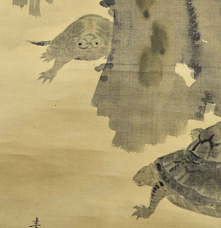 19c Japanese scroll painting TURTLES & prunus after Nakajima Raisho - 2