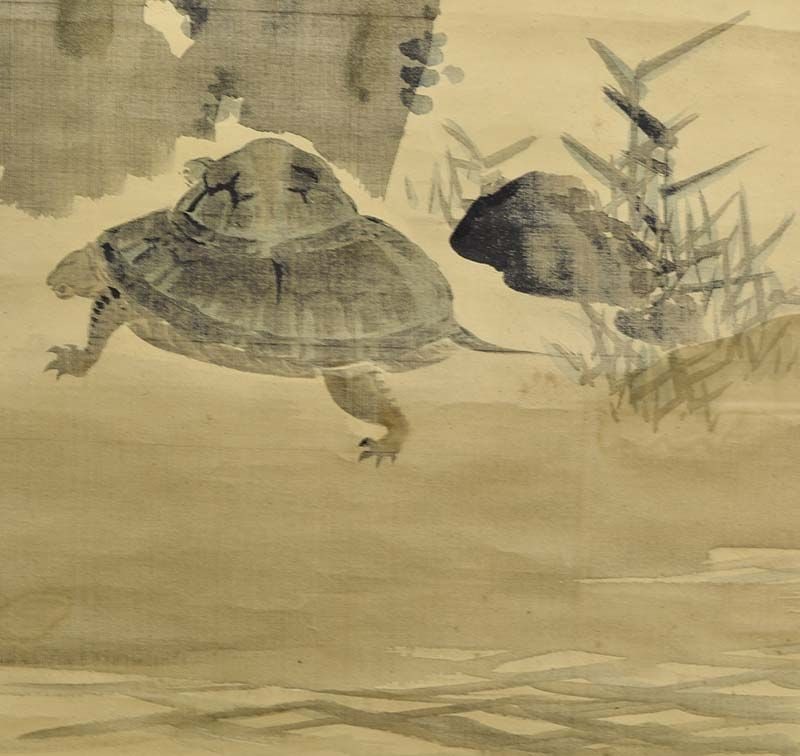 19c Japanese scroll painting TURTLES & prunus after Nakajima Raisho - 3
