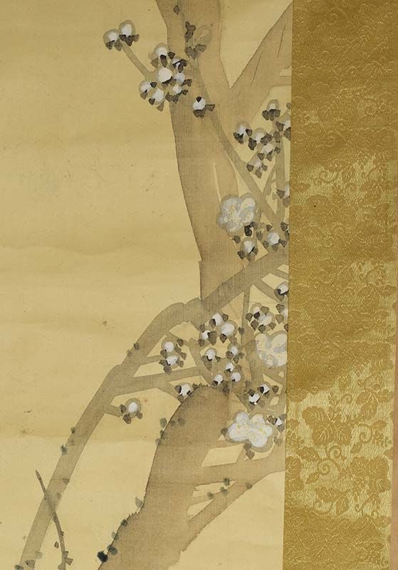 19c Japanese scroll painting TURTLES & prunus after Nakajima Raisho - 5