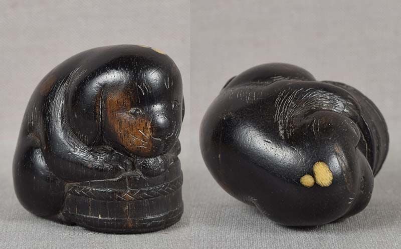 Early 19c netsuke DRINKING PUPPY - 3