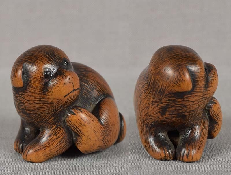19c netsuke SCRATCHING PUPPY by TOMONOBU - 2