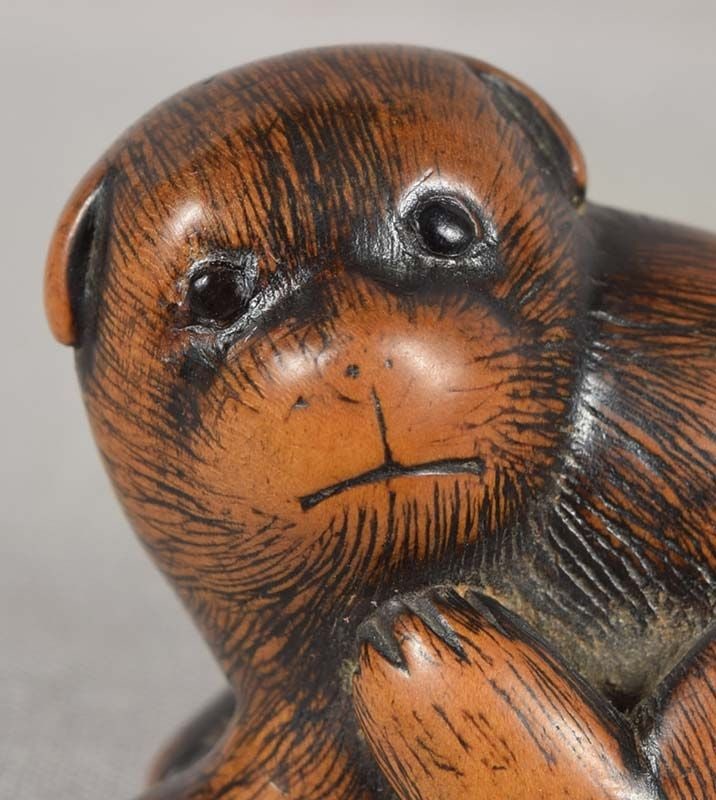 19c netsuke SCRATCHING PUPPY by TOMONOBU - 3