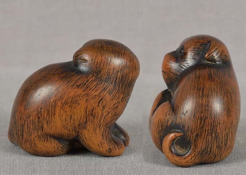 19c netsuke SCRATCHING PUPPY by TOMONOBU - 4