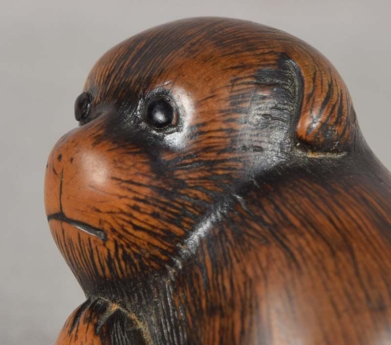 19c netsuke SCRATCHING PUPPY by TOMONOBU - 6