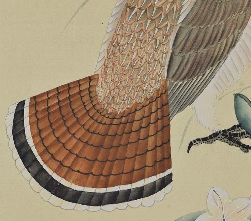 19c Chinese painting INK on SILK bird RUFFED GROUSE - 5