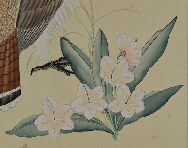 19c Chinese painting INK on SILK bird RUFFED GROUSE - 6