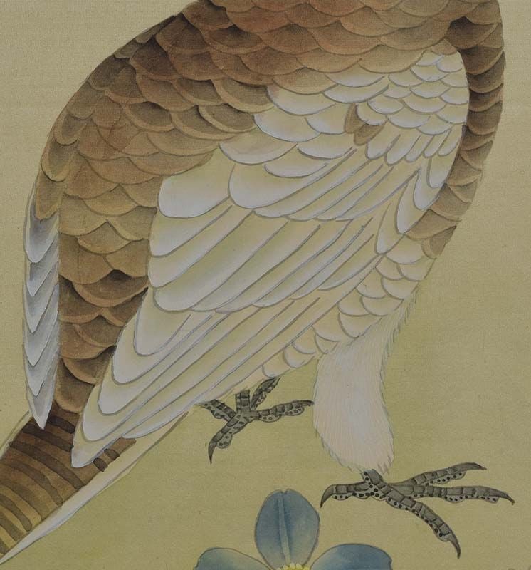 19c Chinese painting INK on SILK bird RED GROUSE - 5