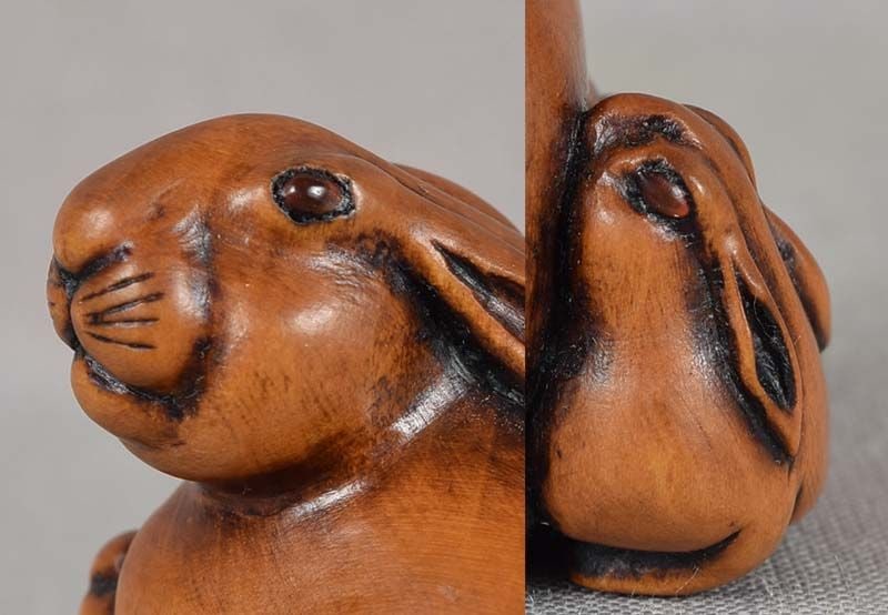 19c netsuke RABBIT & YOUNG amber eyes by SHUZAN - 6