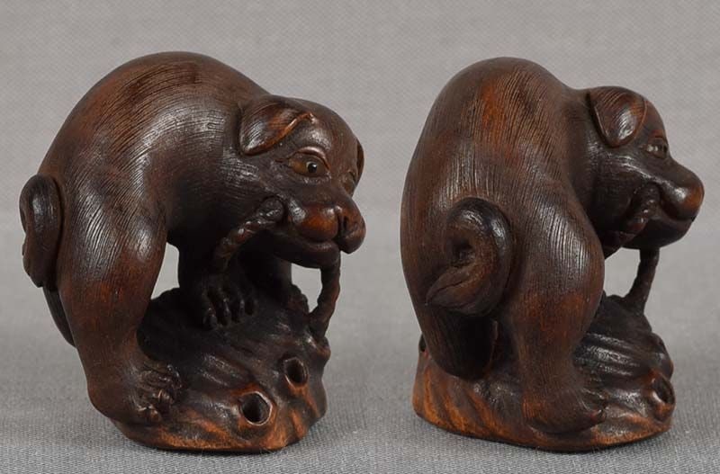 19c netsuke PUPPY on ABALONE shell by TOYOMASA - 4