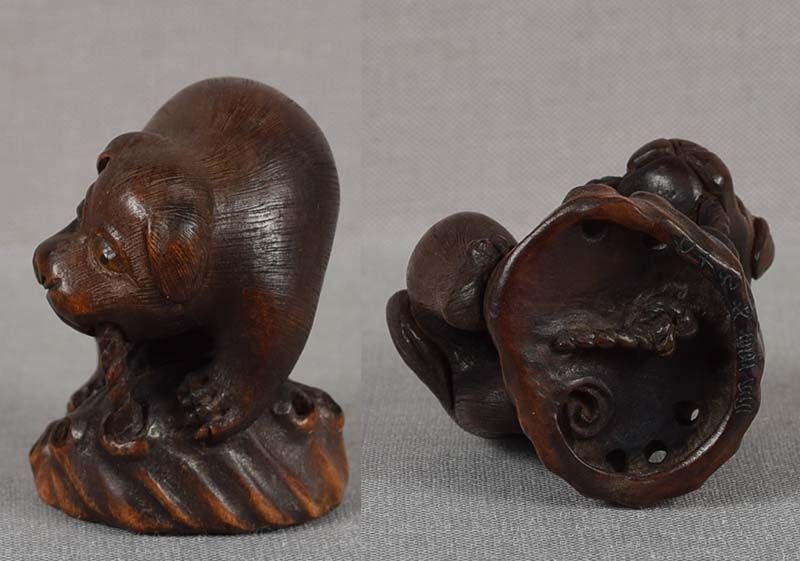 19c netsuke PUPPY on ABALONE shell by TOYOMASA - 5