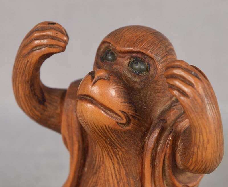 19c netsuke PERFORMING MONKEY in jacket - 2