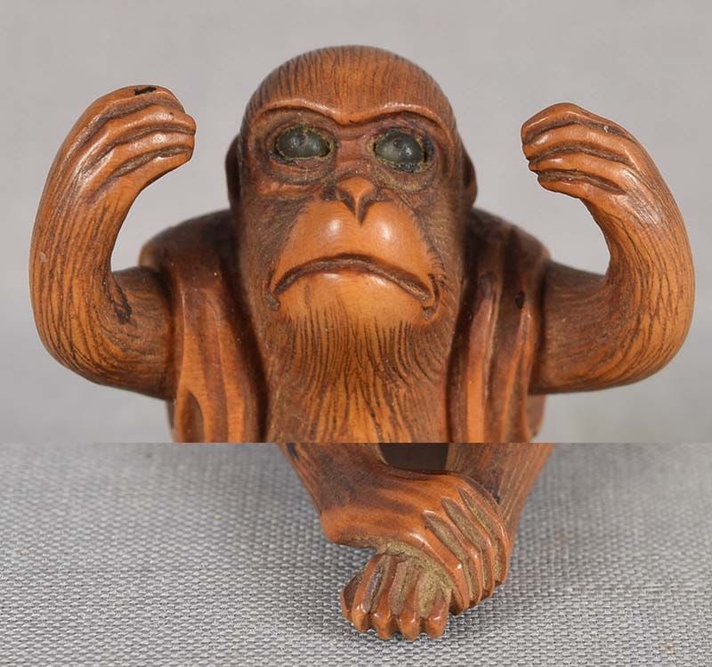 19c netsuke PERFORMING MONKEY in jacket - 6