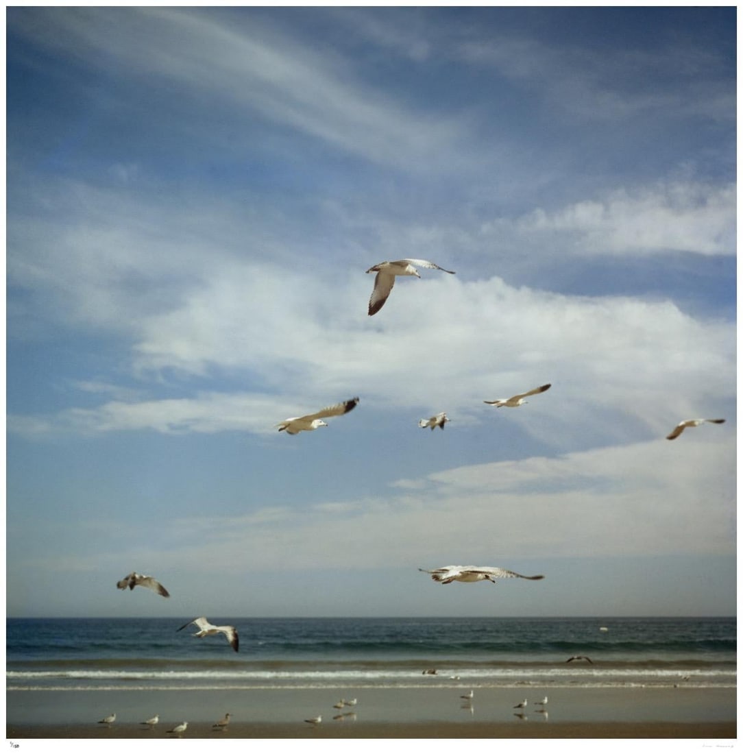 San Diego Gulls 1956 - Slim Aarons Estate Stamped: 1956 (printed later) - 18