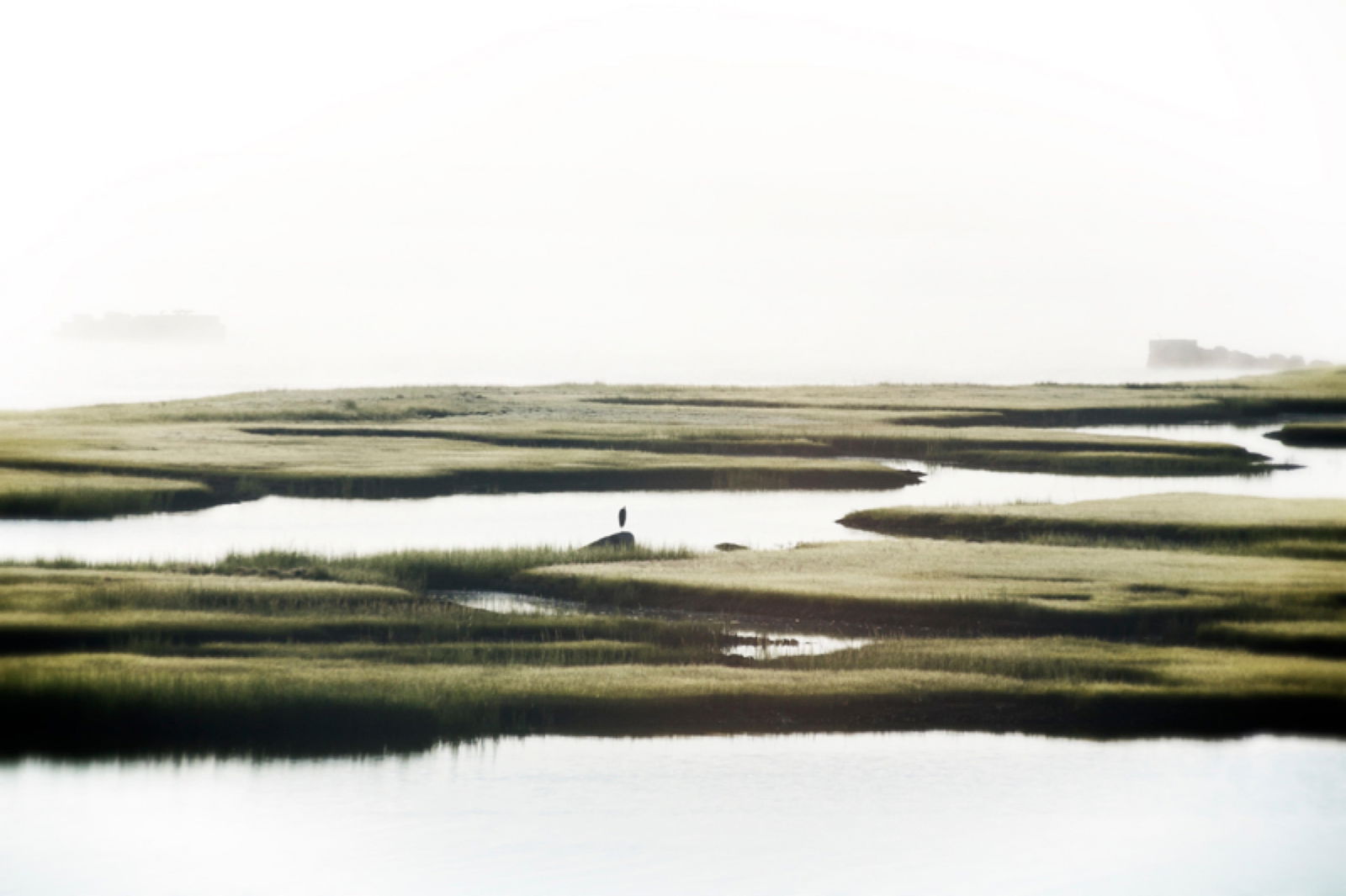 Massachusetts Mist - Oversize Landscape Photography: 2013 (printed later) - 7