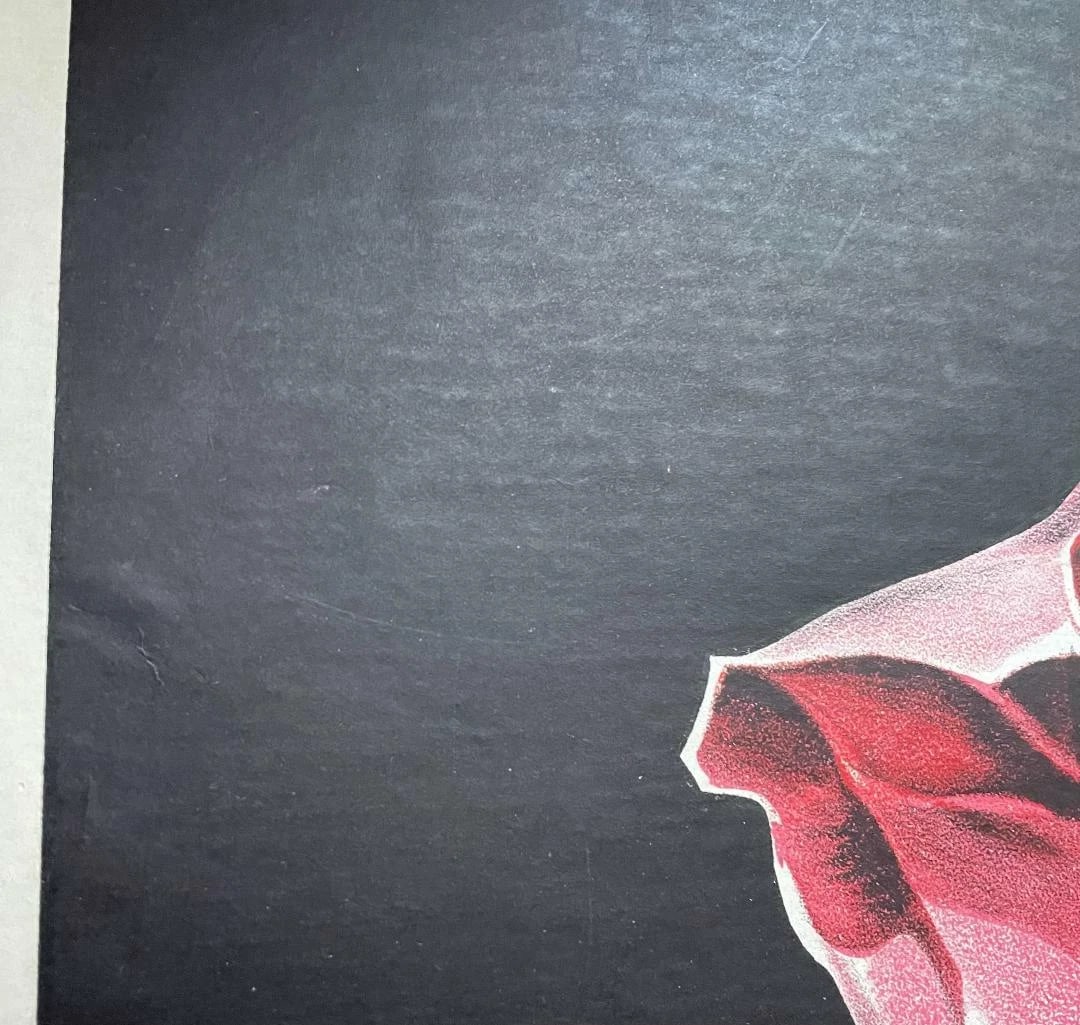 Original Vintage "La Bai" Vietnamese Cigarette Poster Linen Backed - 7