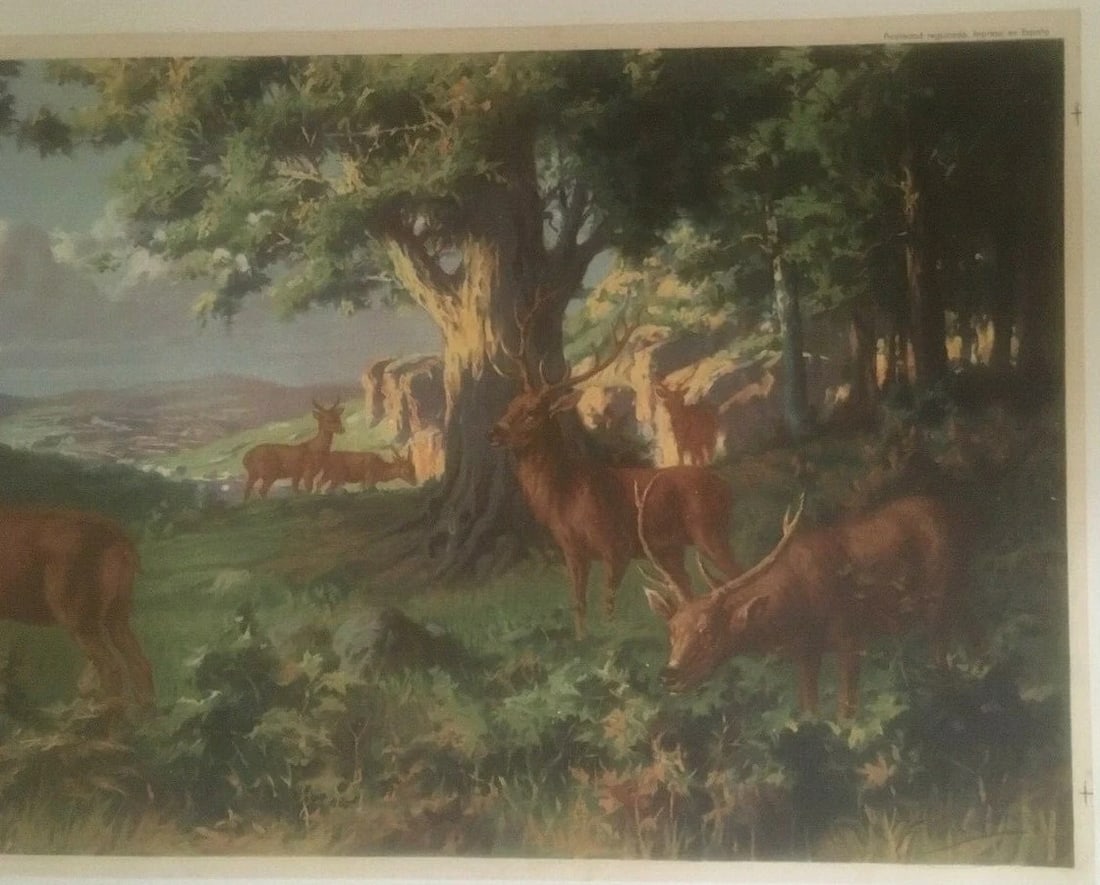 Original Vintage Spanish "Paisaje" Decorative Poster Linen Backed - 3