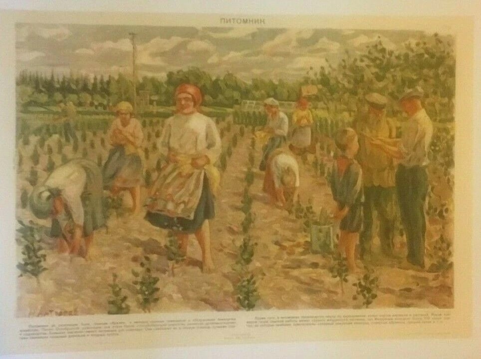 Original Vintage 1931 Russian "Plant Nursery" Poster Linen Backed (1 of 2)