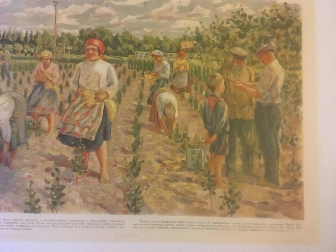 Original Vintage 1931 Russian "Plant Nursery" Poster Linen Backed - 2